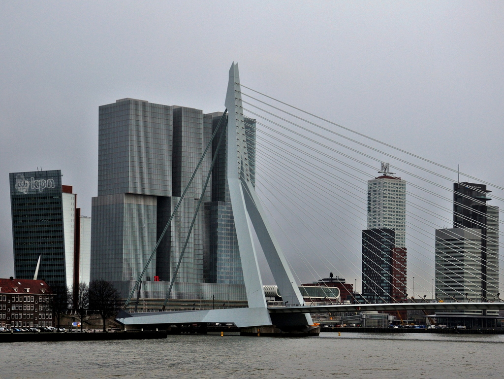 Rotterdam .jpg