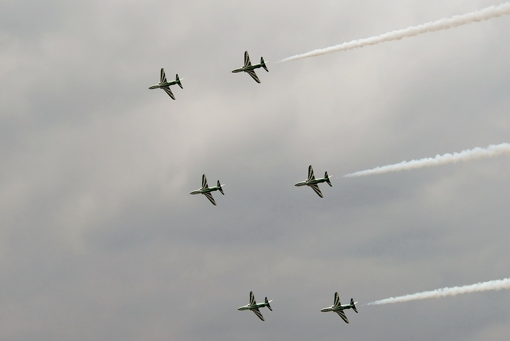Royal Saudi Hawks 02