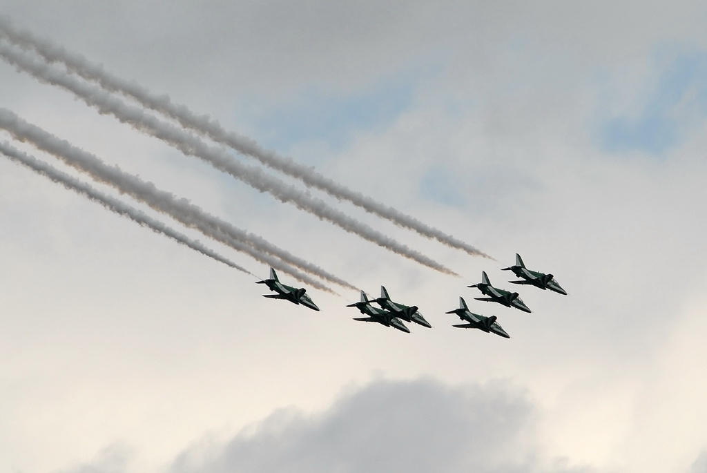 Royal Saudi Hawks 03
