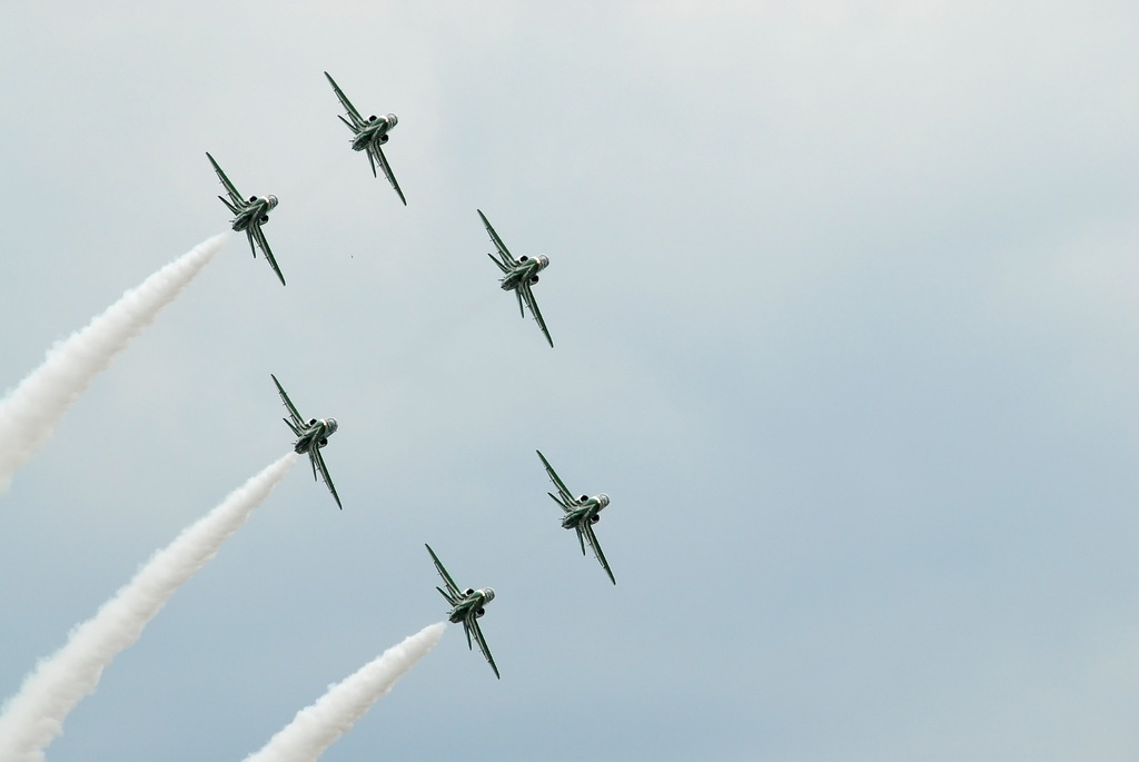 Royal Saudi Hawks 05