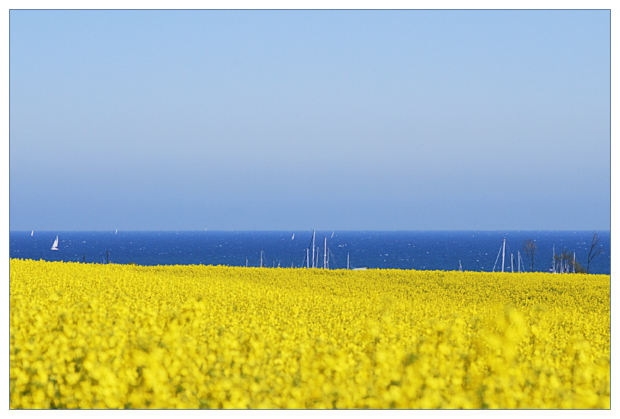 Rraps meer2