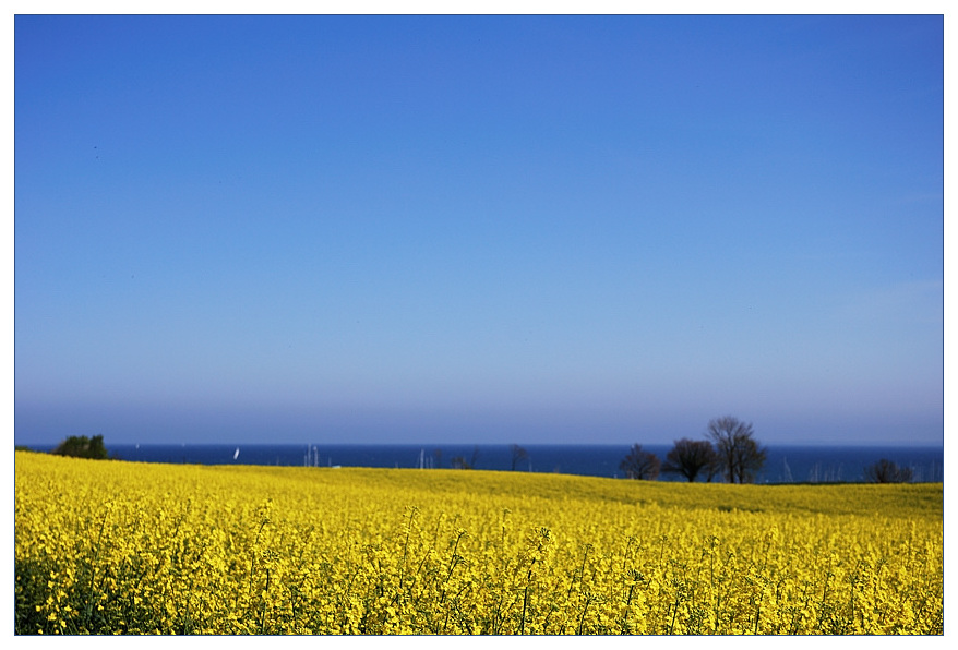Rraps meer4