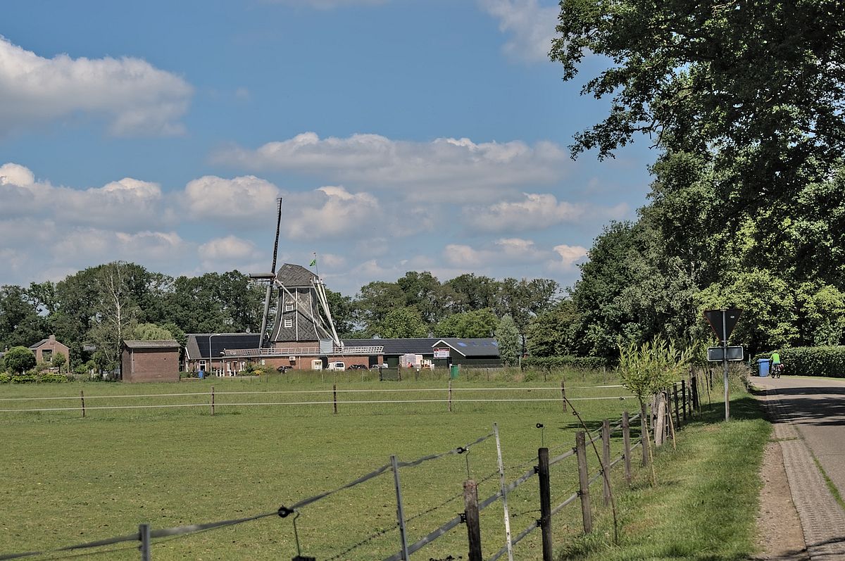 rtsl_5970.jpg