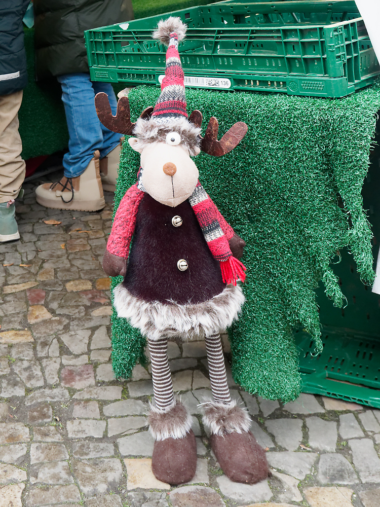 Rudolph Einauge.jpg