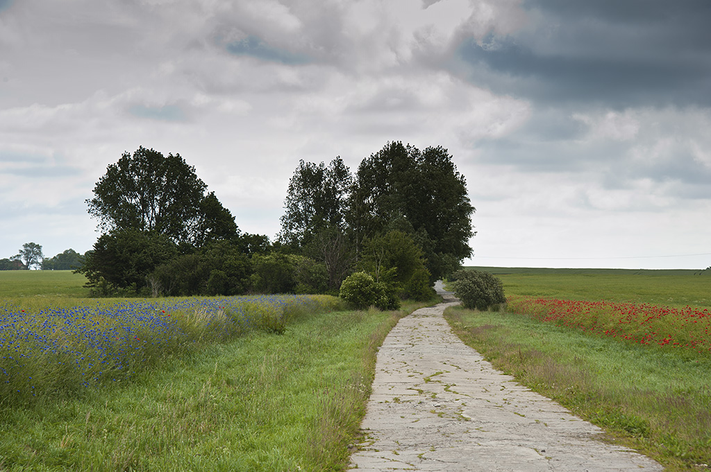 ruegen 03