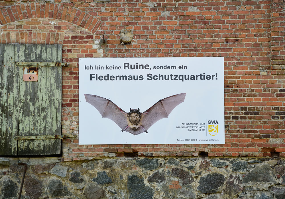 Ruine Anklam, 2