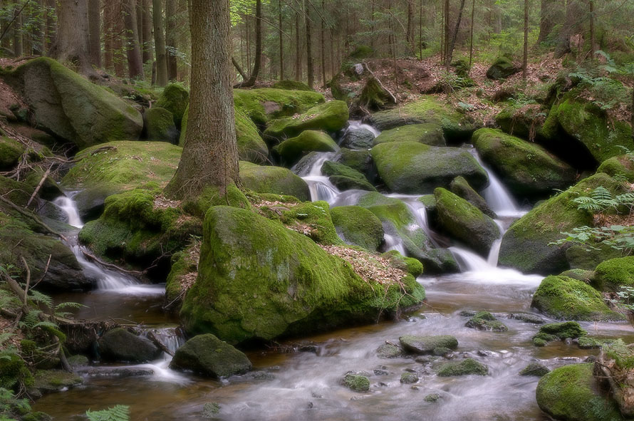 Rumplbach