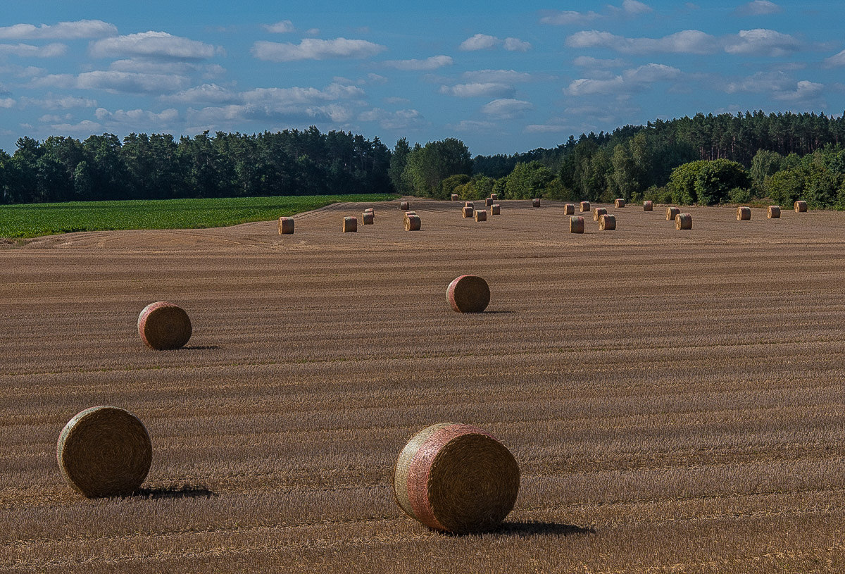 Rundballen (1 von 1).JPG