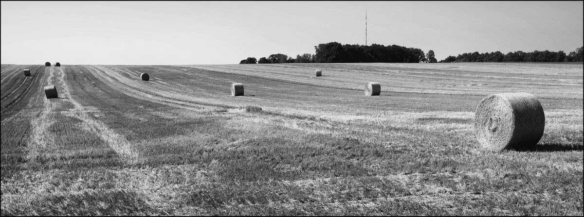 Rundballen BW.jpg