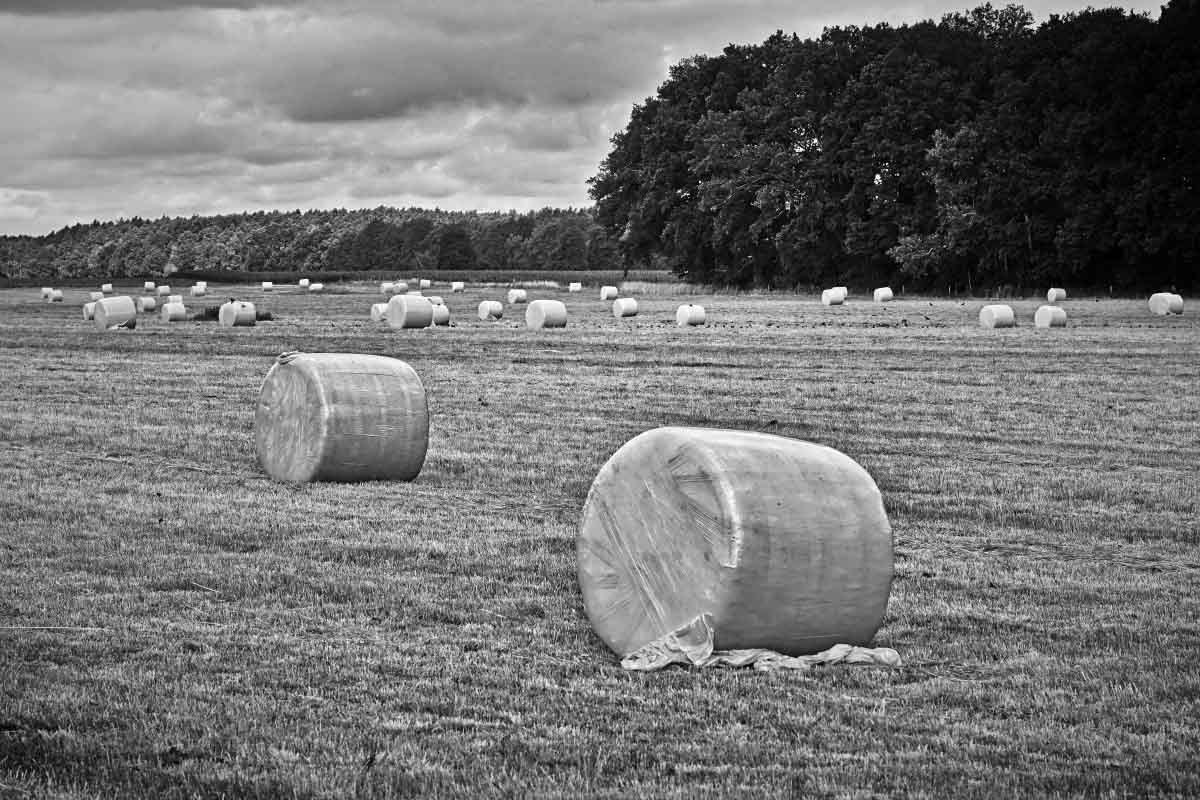 Rundballen BW_2.jpg