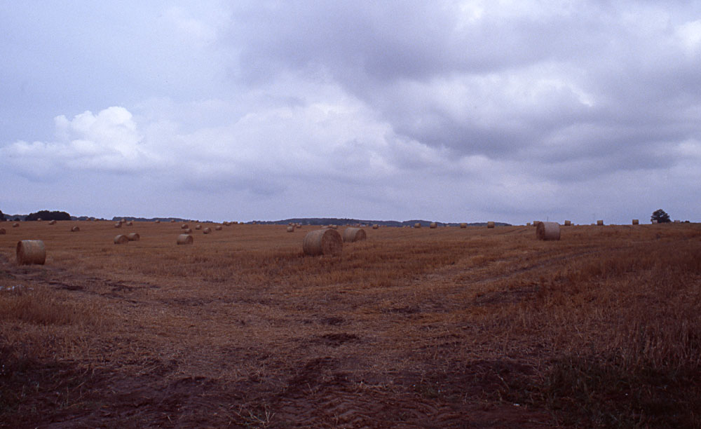 Rundballen, Nähe Sagard auf Rügen