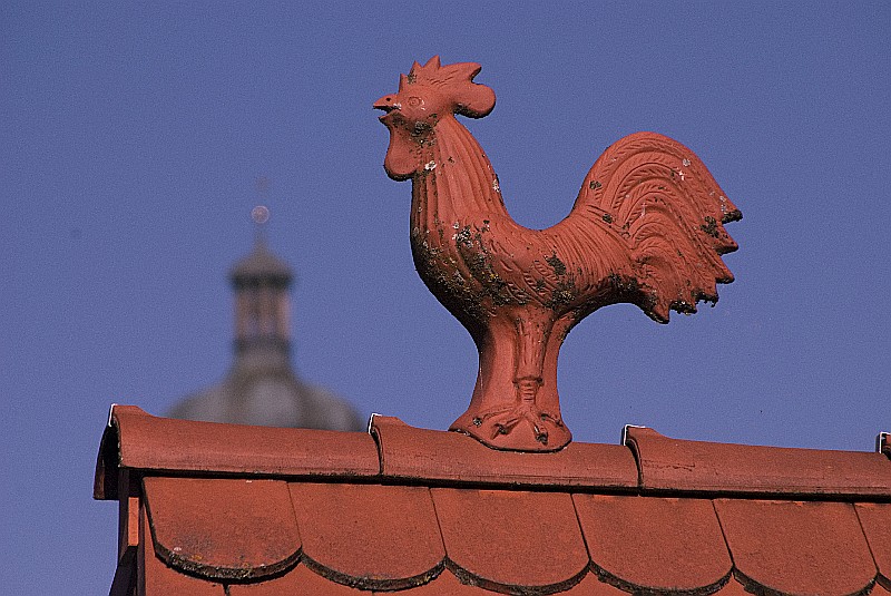 Rundgang Stadtmauer Nördlingen04