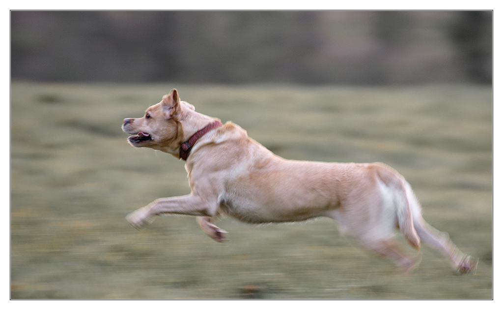 running fast 1