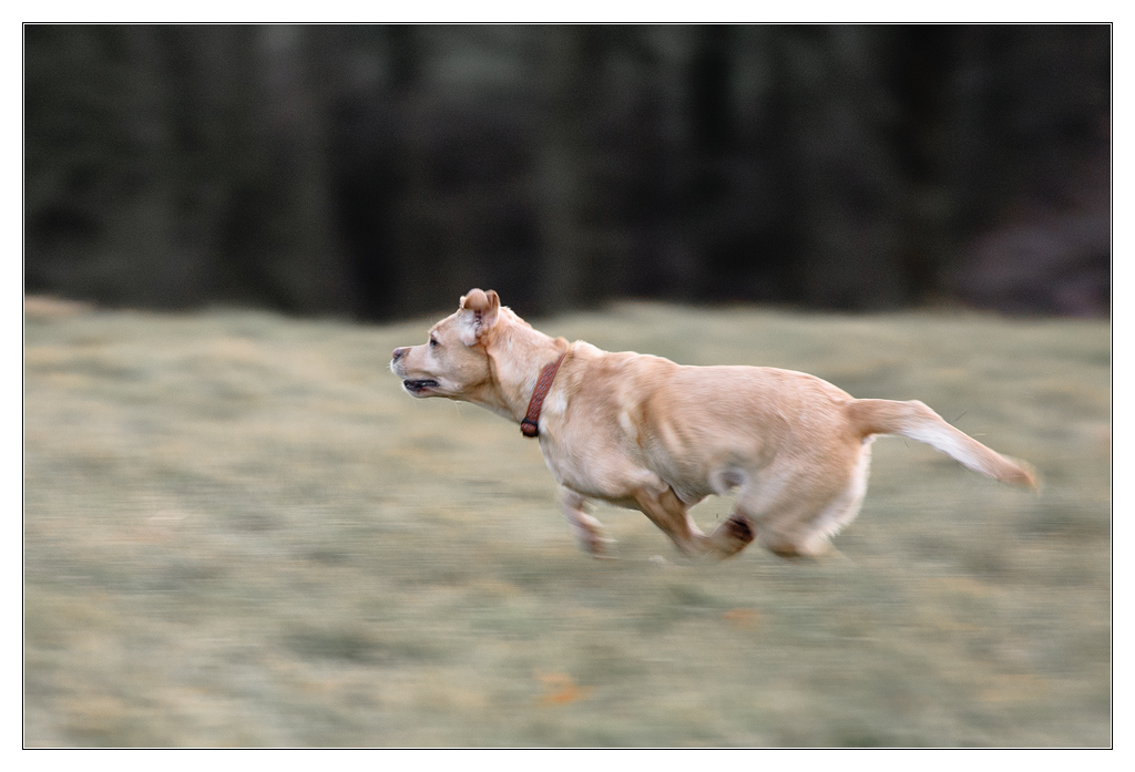 running fast 2