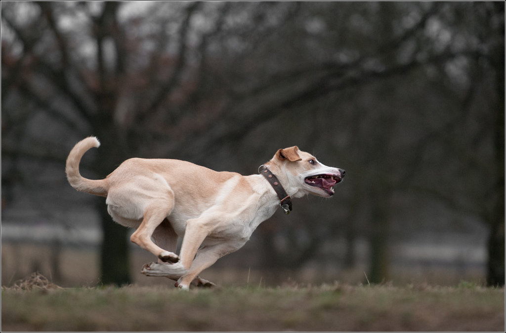 running