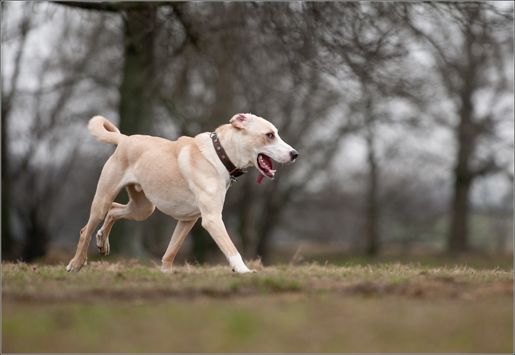 running2