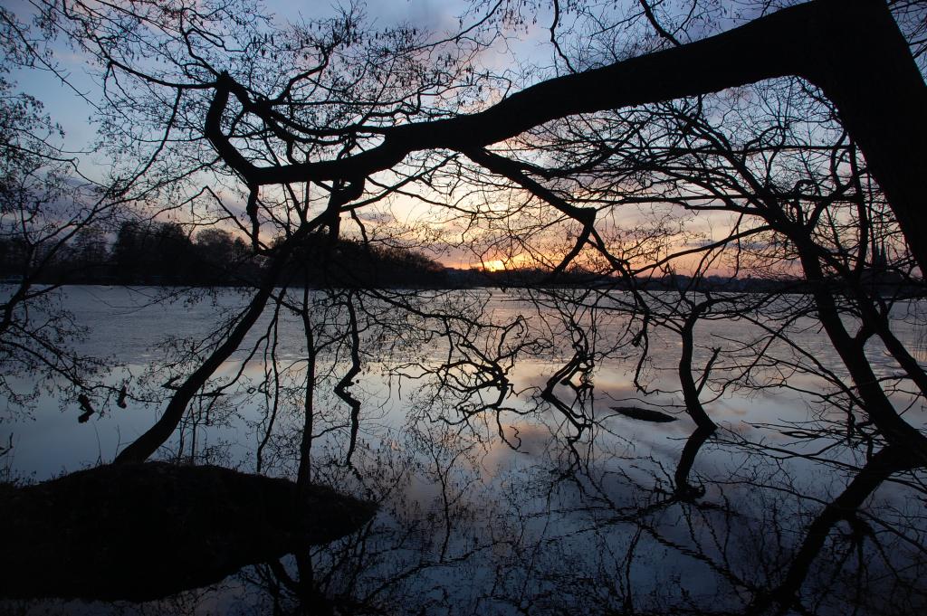 Ruppiner See