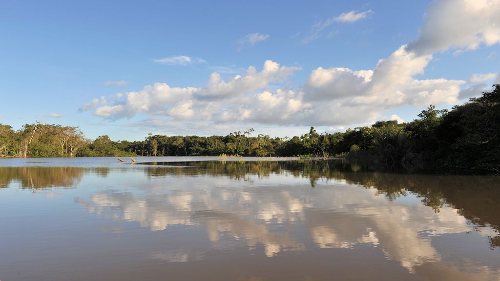 Rupununi
bei Karanambu
2661