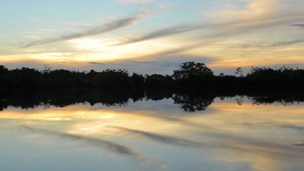 Rupununi
bei Karanambu
5728