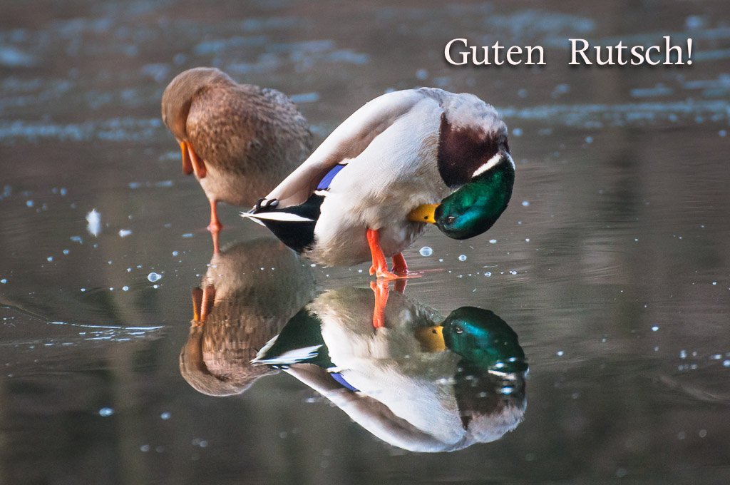 rutsch