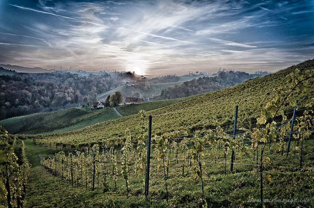 Südsteirische Weinstraße