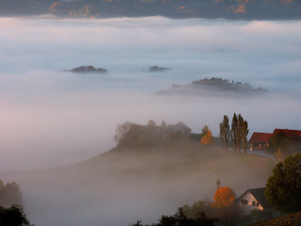 Südstmk336 2
Morgennebel in der südsteirischen Weintrasse