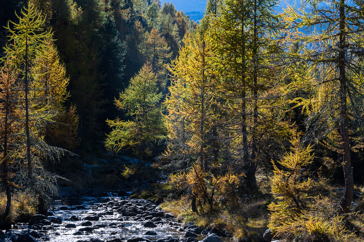 Südtirol Oktober-2642.jpg