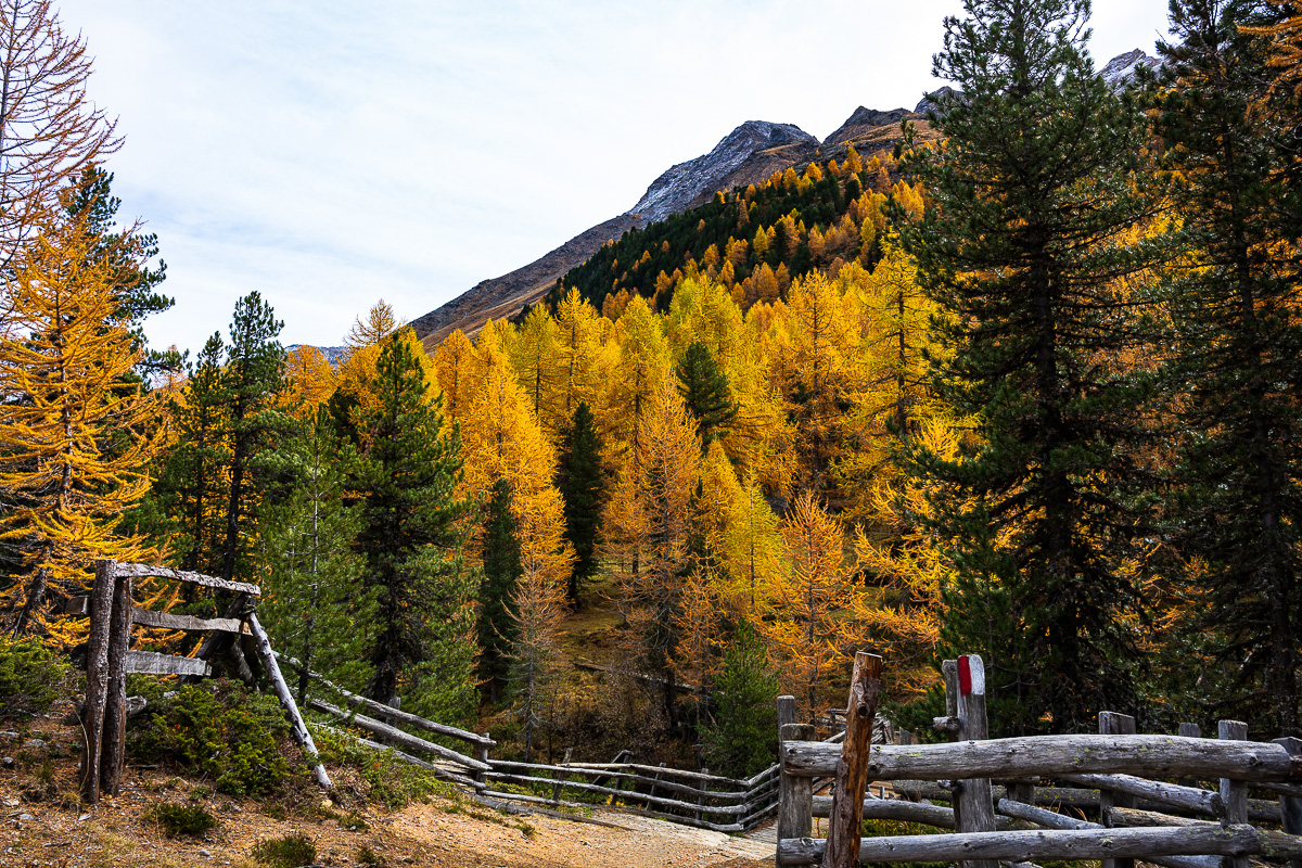 Südtirol Oktober-2783.jpg