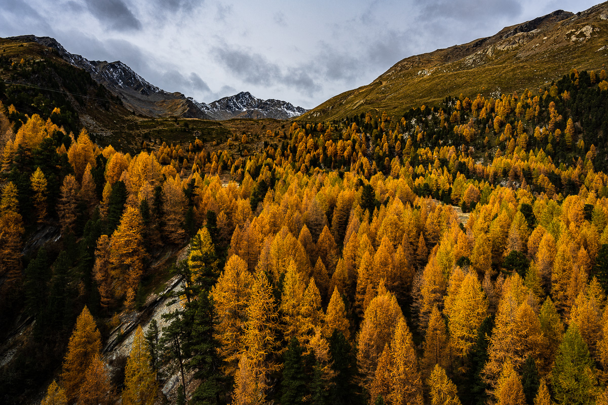 Südtirol Oktober-2789.jpg