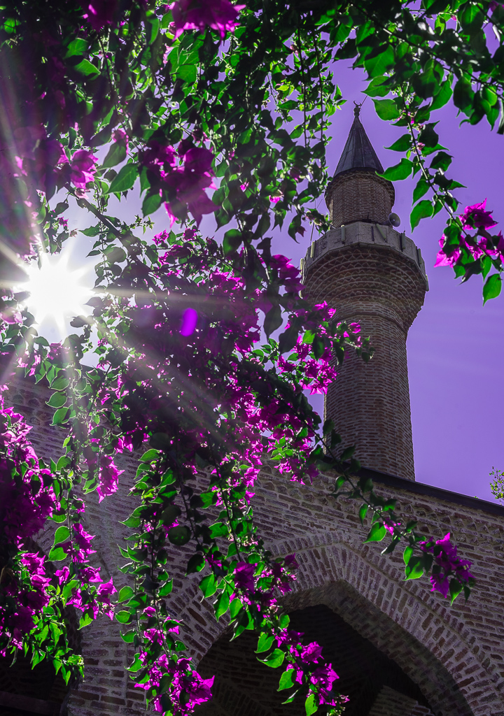 Süleymaniye Moschee Gegenlicht