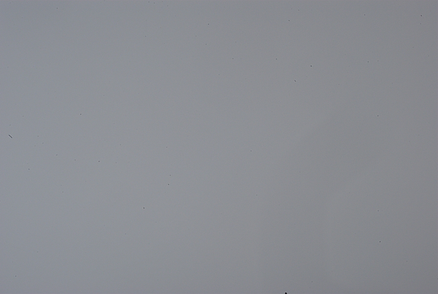 s DSC 0003