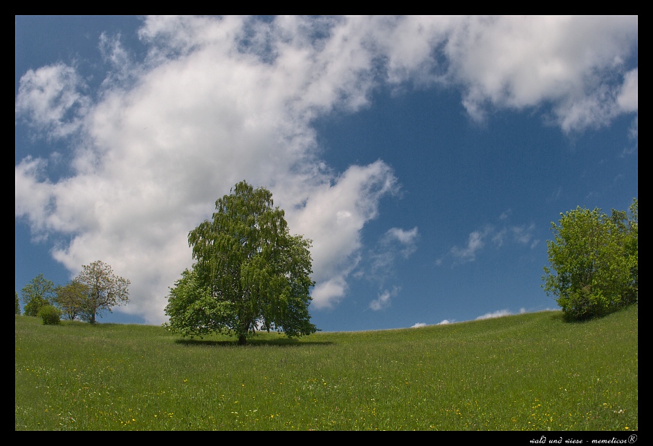 s DSC 0092