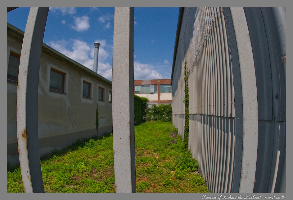 s DSC 0197
