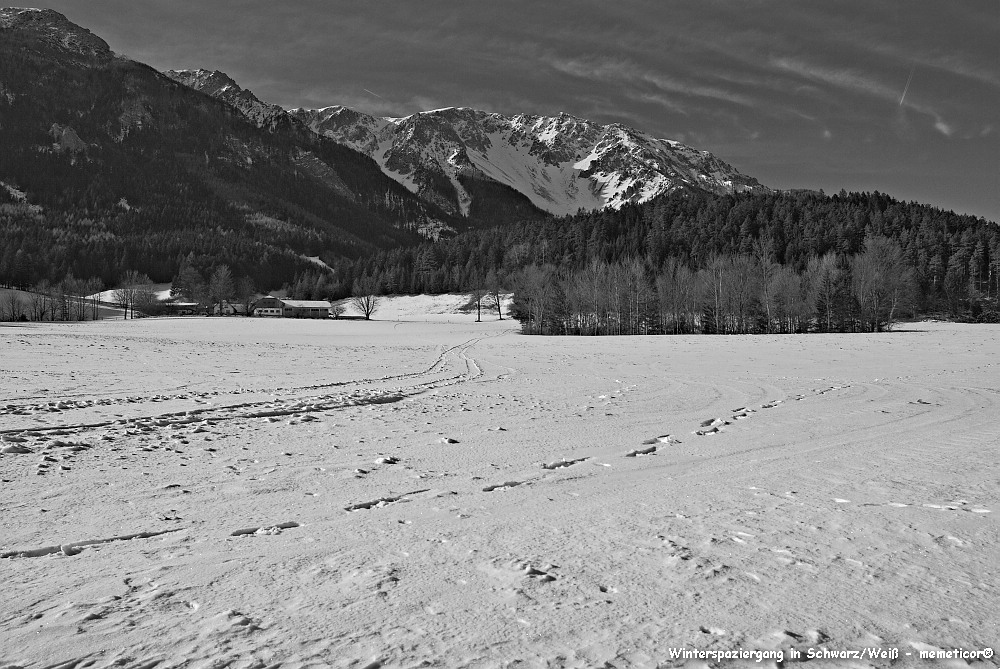 s DSC bw red1117 zm