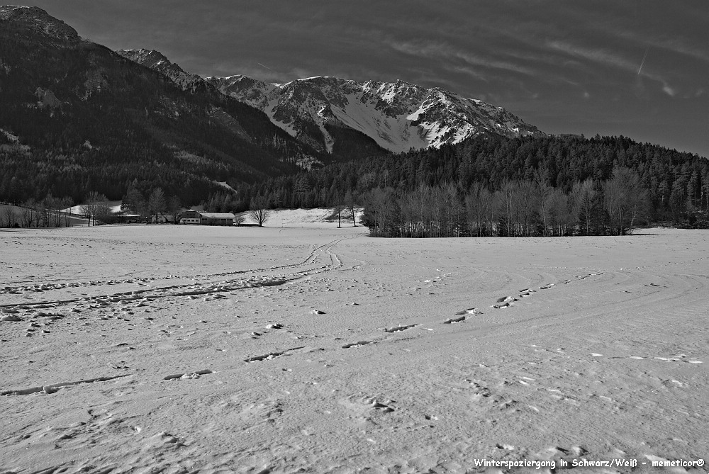 s DSC bw red1117