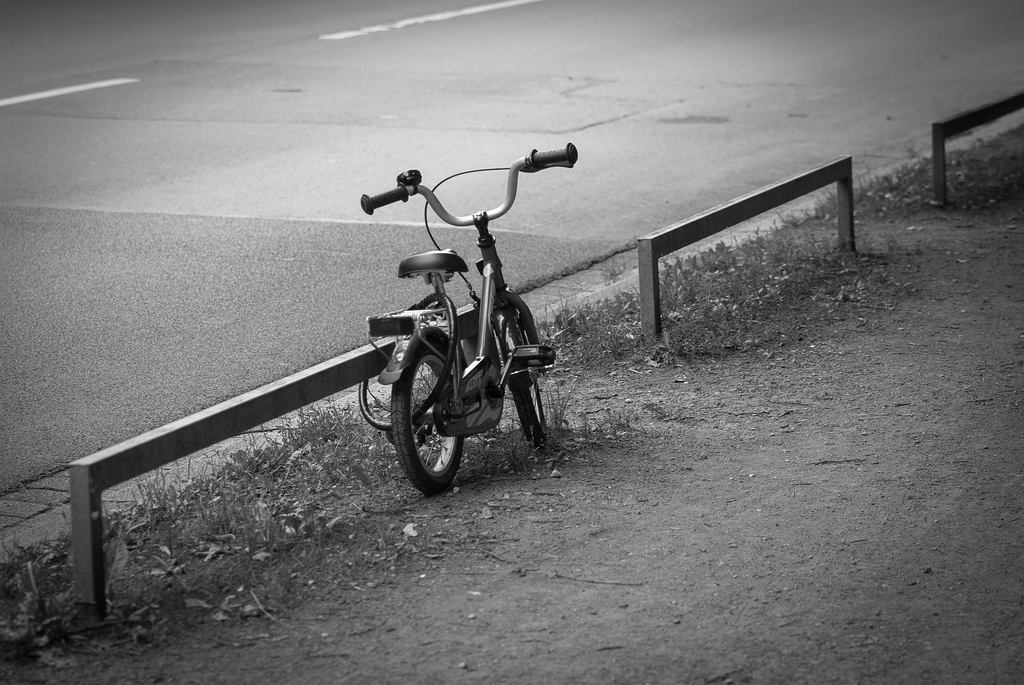 s w DSC 3478