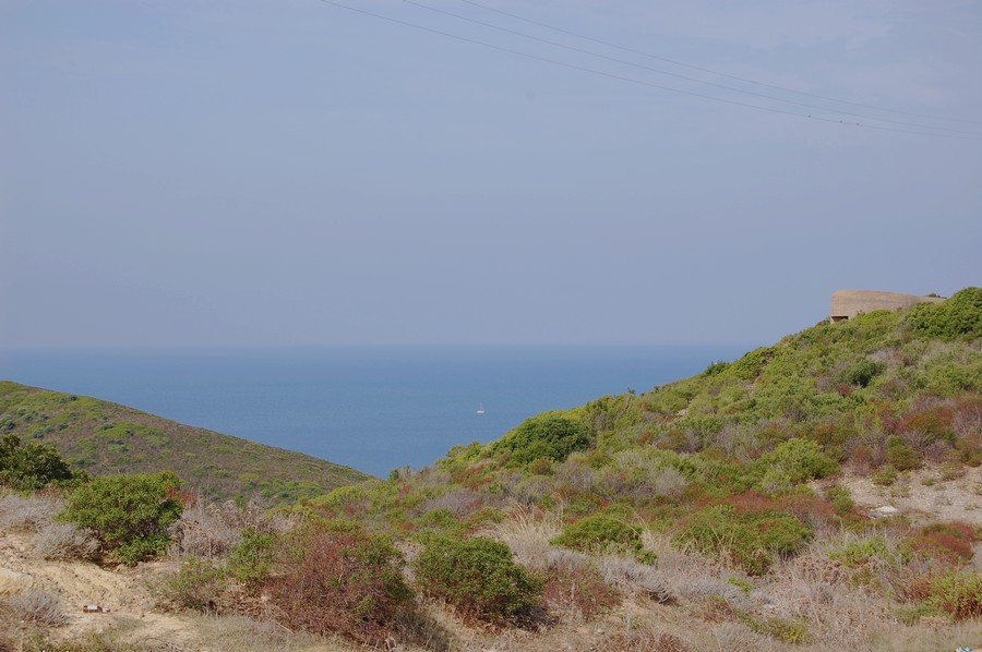 S02