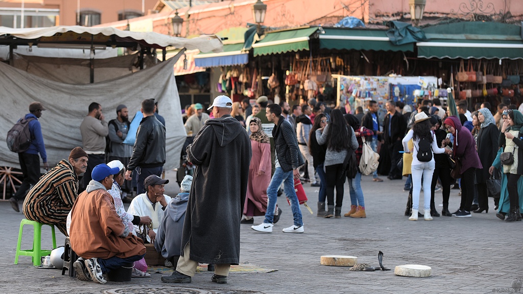 s076 Marrakech Schlangen 9888