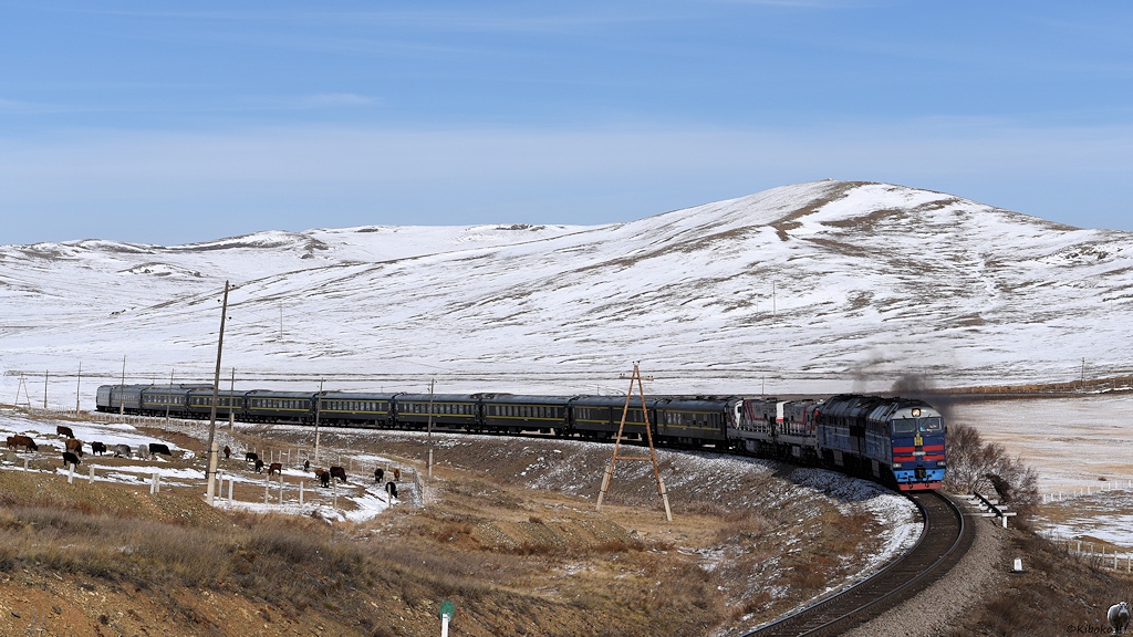 s1160 2TE116UM 025 2Zagal 00x 4845