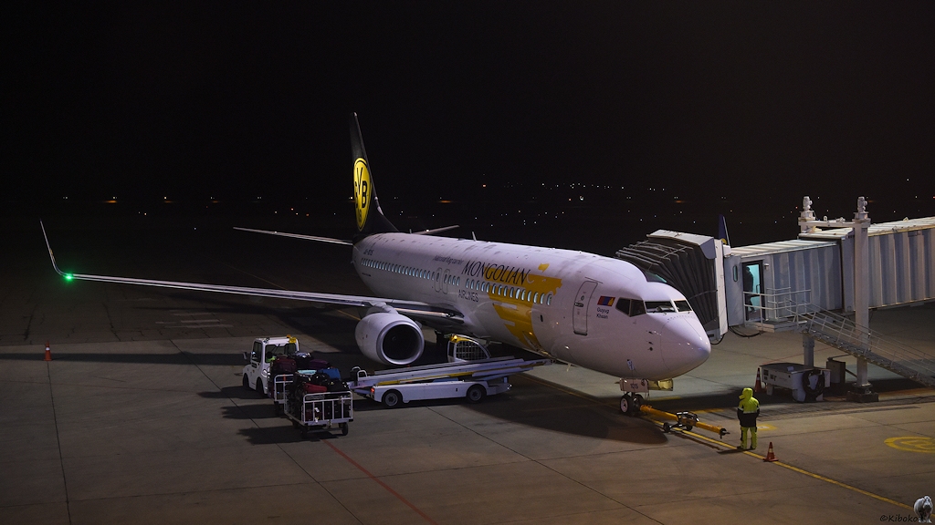 s1205 UlanBator B737 800 4962