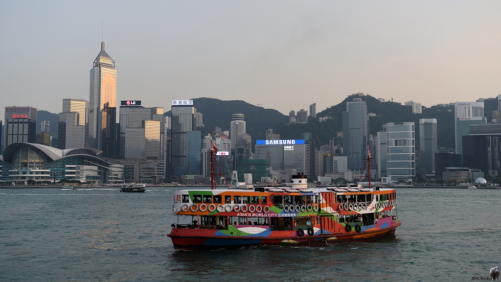 s1370 HongKong NightStar 5334