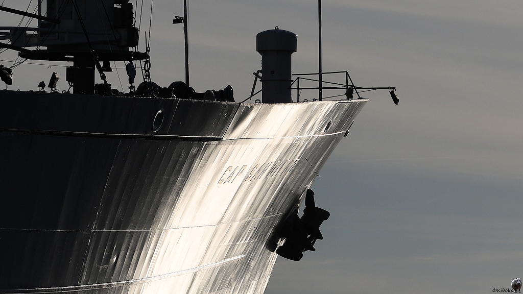 s170614 019 HH CapSanDiego 4983