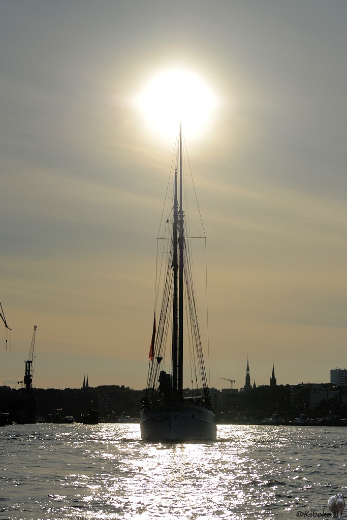 s170614 023 HH Elbe5 5507 h