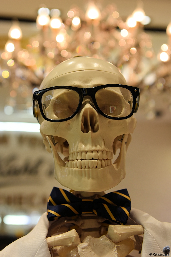 s177 Bangkok MrBones 0440 h