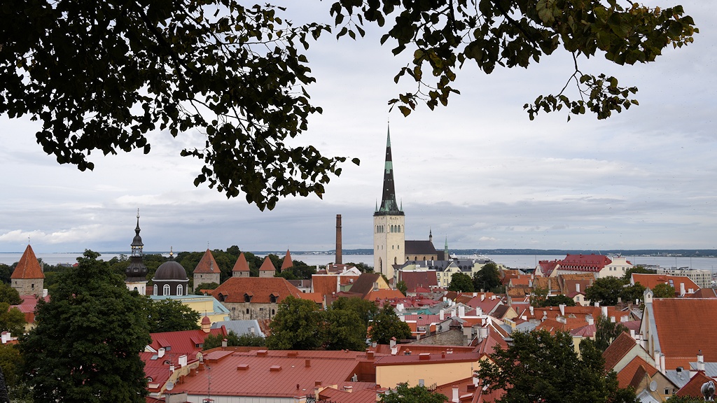 s258 Tallinn 9355