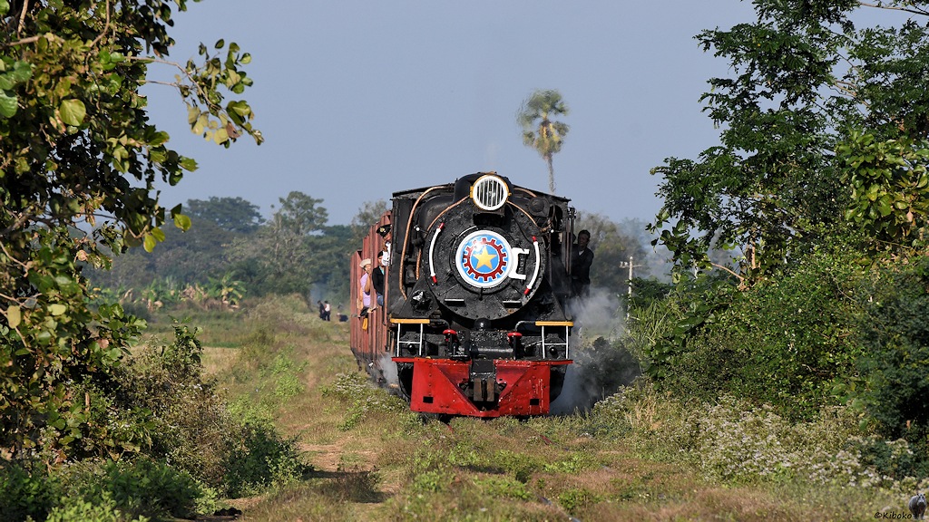 s274 Pyudwin YD964 9657