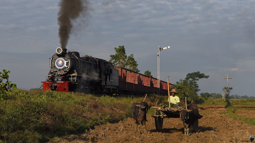 s276 Pyudwin YD964 1278