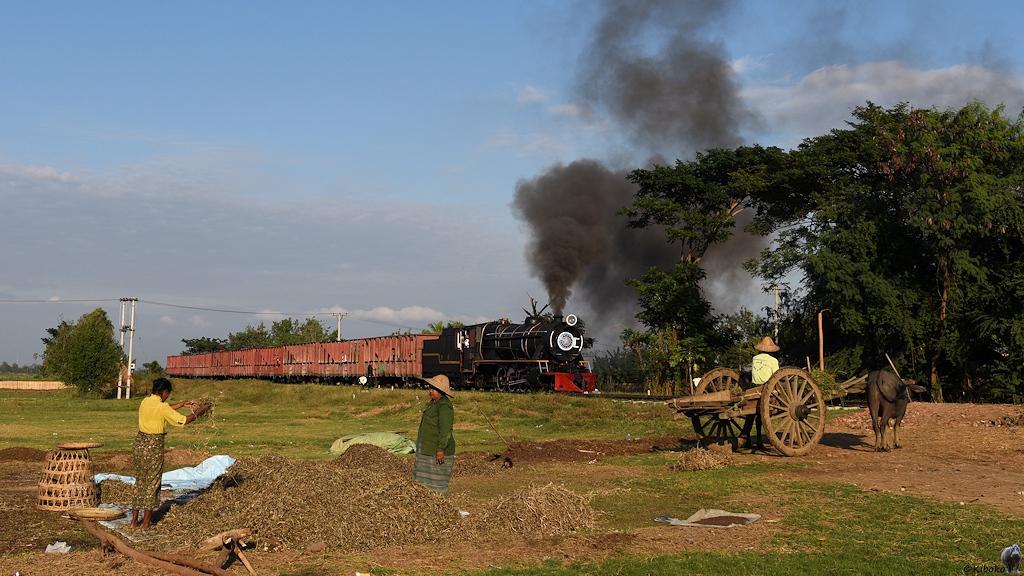 s278 Pyudwin YD964 1333