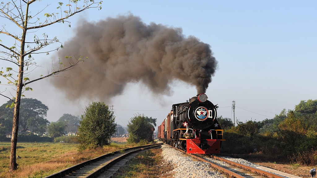 s317 Kali YD967 1508