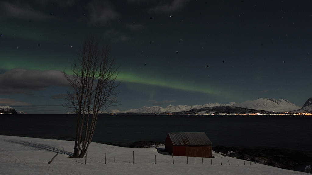 s391 Oldervik Nordlicht 8143  1